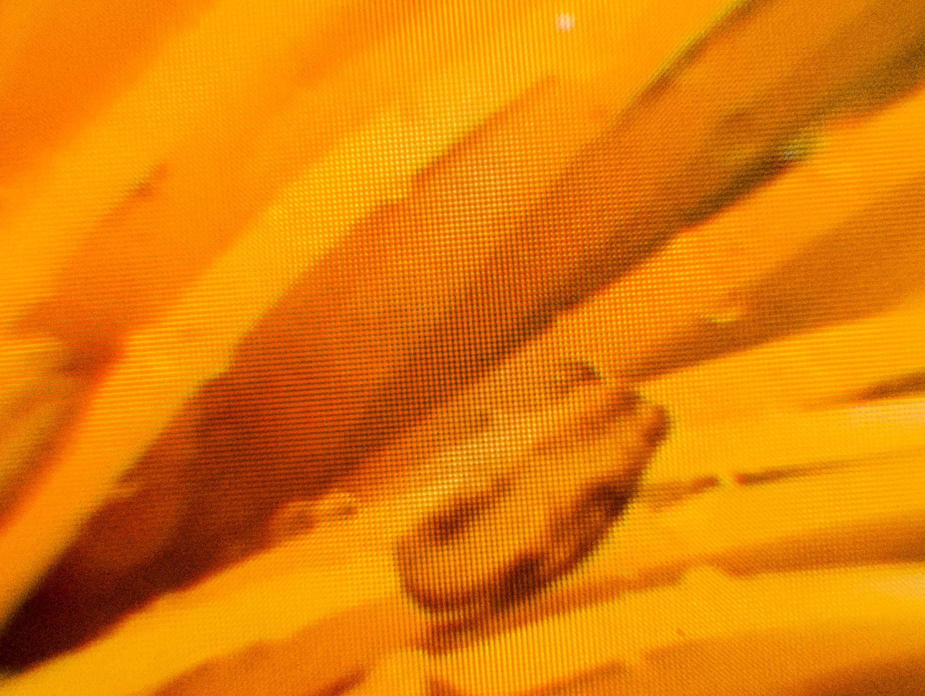 Macro photo of individual pixels rendering the flower scene at 75Hz